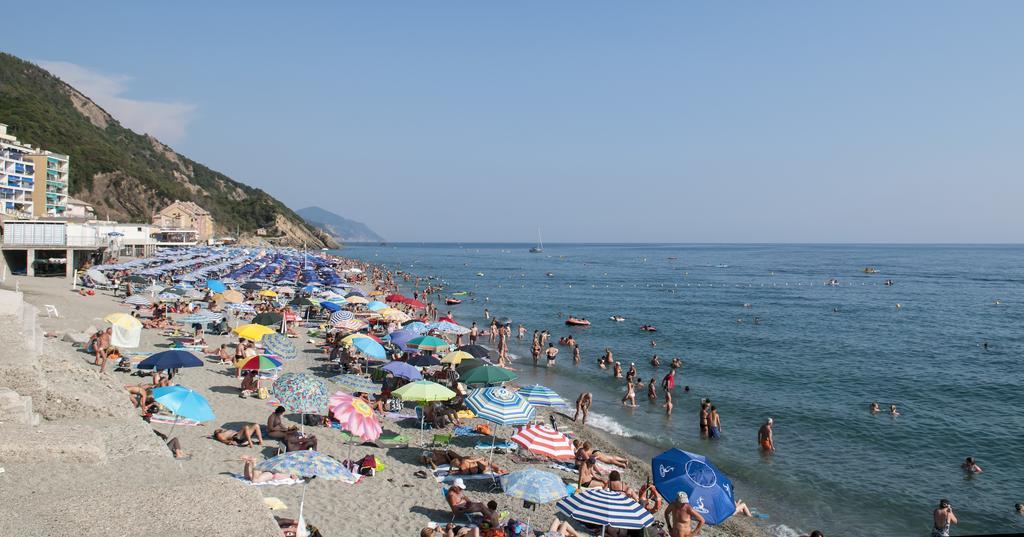 Delle Ciliegie