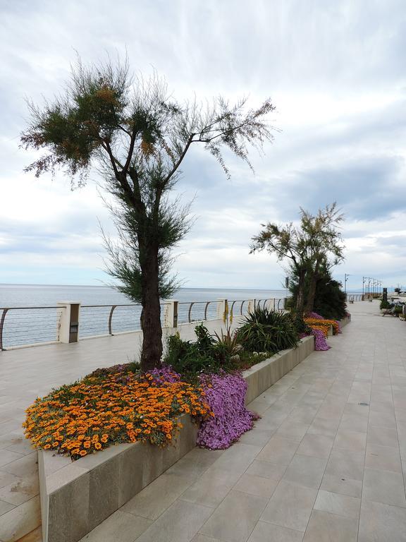 Apartment Delle Ciliegie *