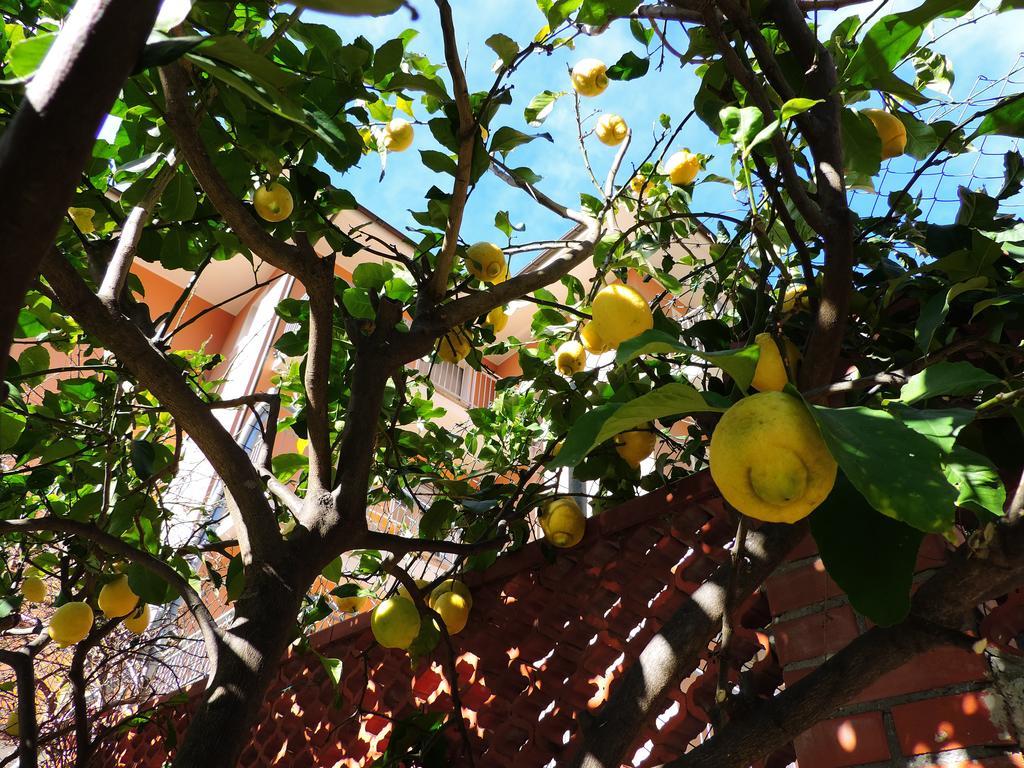 Apartment Delle Ciliegie
