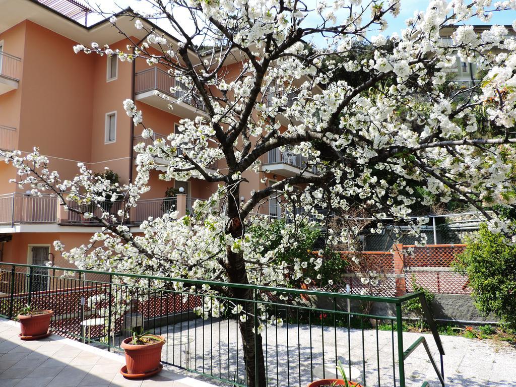 Apartment Delle Ciliegie