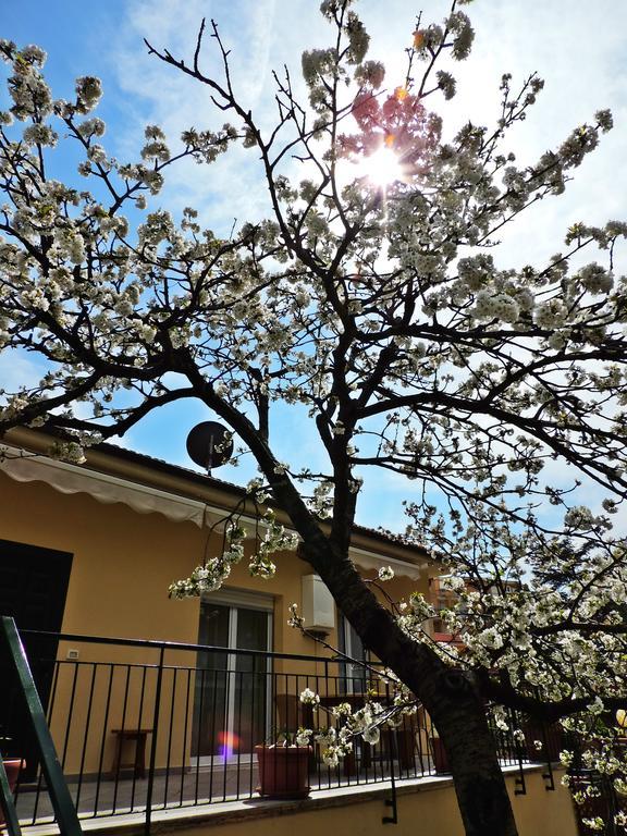 Delle Ciliegie Apartment Deiva Marina